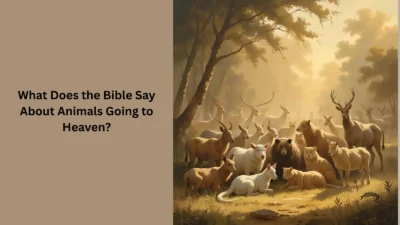 What Does the Bible Say About Animals Going to Heaven?