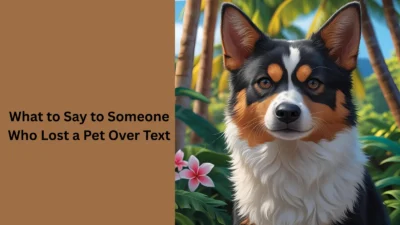 What to Say to Someone Who Lost a Pet Over Text